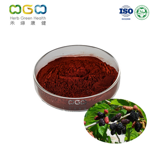 Mulberry SD Powder Easy Absorption für Haarschönheit mit rotem Pigment 