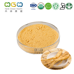 Organischer Panax-Ginseng-Extrakt Wasserlösliche Ginsenoside 1-20% Pulver