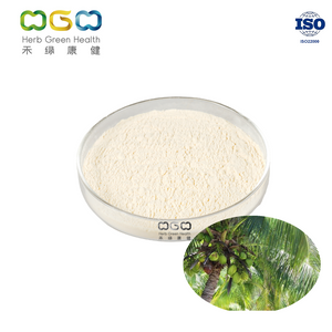  Kokosmilch-SD-Pulver Großhandel Lebensmittelzusatzstoff Zur Stärkung der Immunität